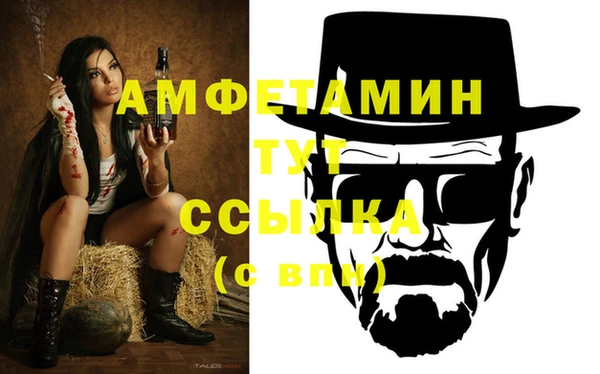 сатива Россошь