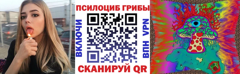 закладки  KRAKEN как войти  Псилоцибиновые грибы Psilocybe  Всеволожск 