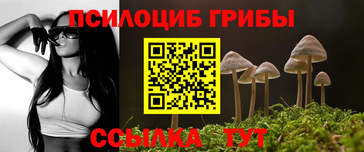 Псилоцибиновые грибы мицелий Всеволожск