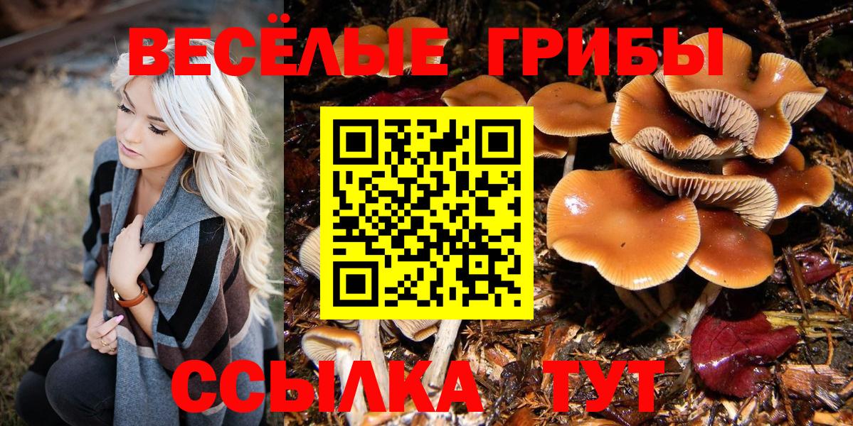 Всеволожск  Псилоцибиновые грибы Magic Shrooms  Вход с VPN 